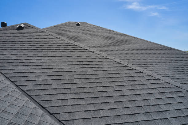 Best Roof Moss and Algae Removal  in La Vista, NE